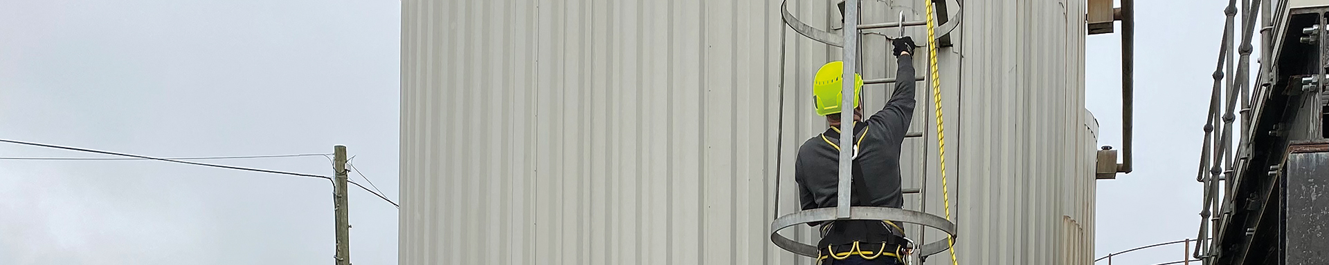 Ladder Training Muller Foods