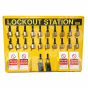LSE106FS Lockout Station