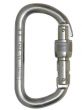 Foin 10mm Steel D Screwgate Karabiner