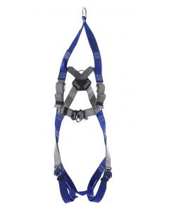 Two point rescue harness