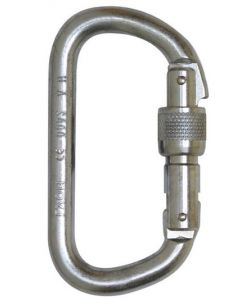 Foin 10mm Steel D Screwgate Karabiner